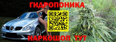 молекула духа Кандалакша